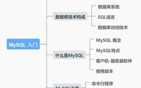 大数据入门指南，如何掌握数据库使用基础？