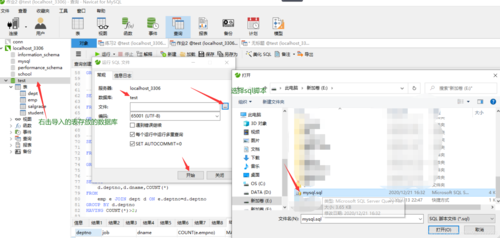 如何使用Navicat工具将MySQL脚本成功导入数据库？插图4