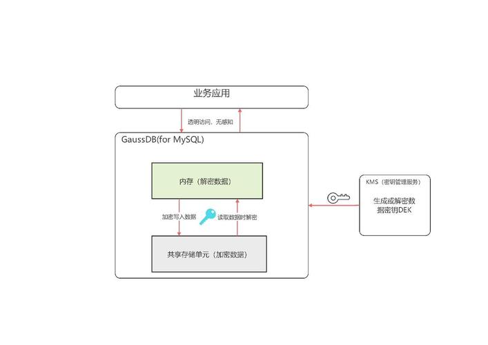 如何在MySQL中启用透明数据加密功能？插图4