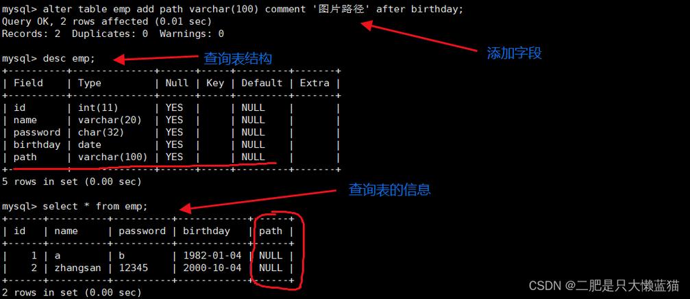 如何在MySQL数据库中添加图片数据？插图2