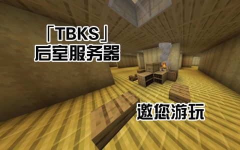 VPS Minecraft服务器，它是什么以及如何运作？