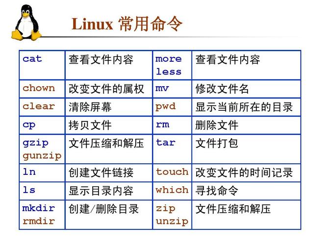 如何通过命令行查看Linux系统的架构类型？插图