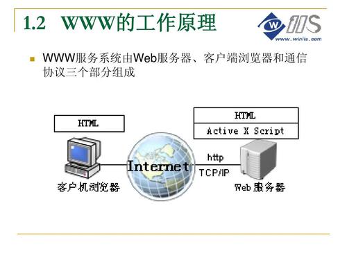 WWW服务器的核心职能有哪些？插图