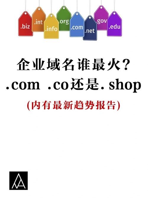 如何在net和com域名之间选择，续费策略与赎回过程解析？插图2