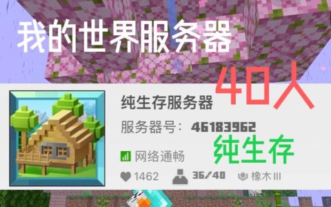 如何在Minecraft中查看服务器密码的含义？