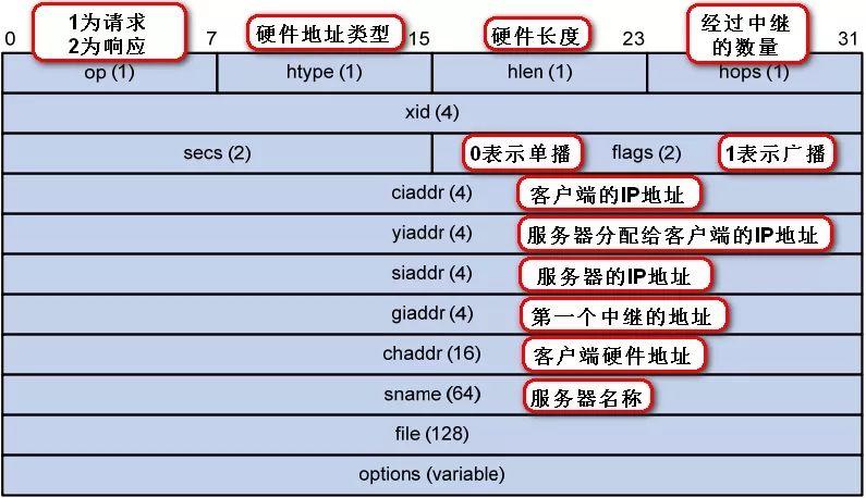 DHCP服务器在配置中通常指定哪些关键差异？插图