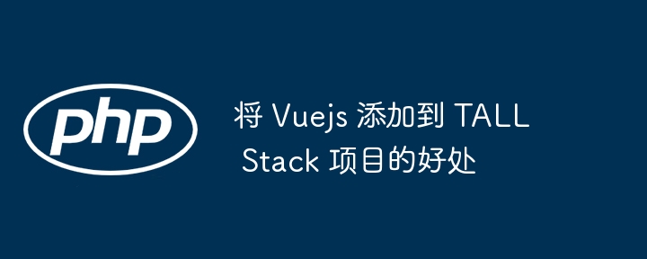 将 Vuejs 添加到 TALL Stack 项目的好处插图