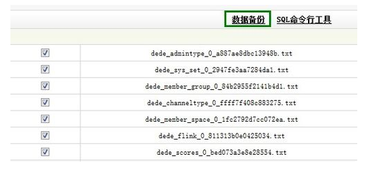 如何解决DEDE网站搬家后出现的/include/templets/default/index.htm Not Found错误？插图