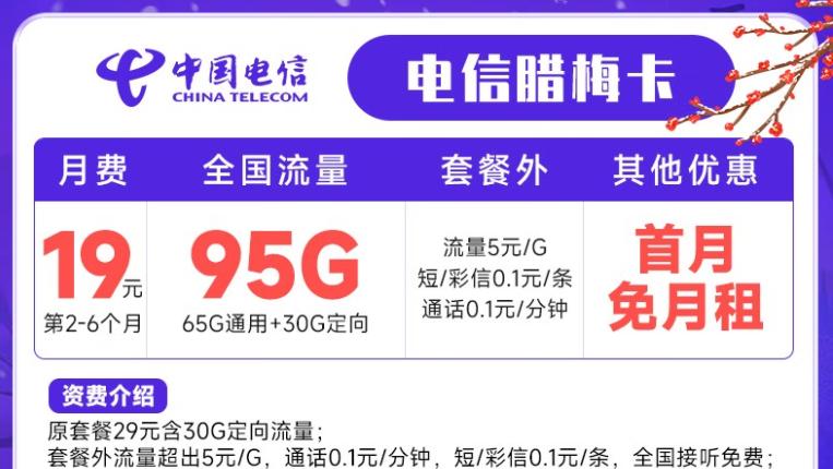 如何评估无合约期19月租包95G 100分钟电信流量卡的性价比？插图