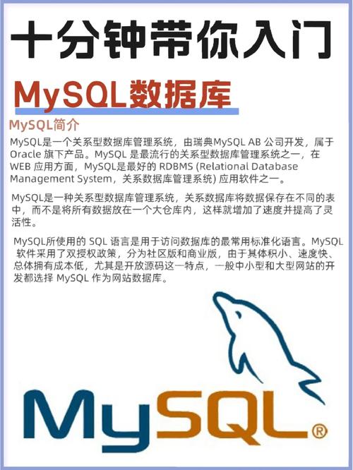 如何使用MySQL数据库计算梯形面积并生成面积图？插图2