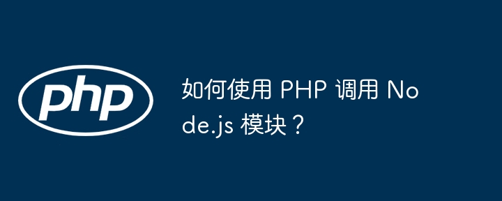 如何使用 PHP 调用 Node.js 模块？插图