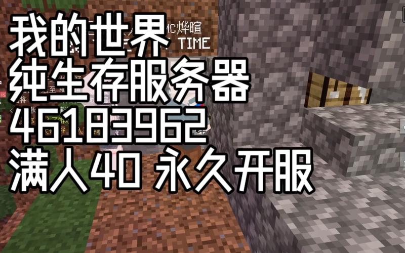 VPS Minecraft服务器，它是什么以及如何运作？插图4