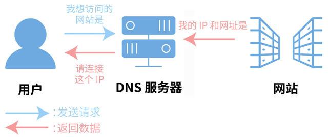 苹果设备中DNS与服务器功能有何不同？插图4