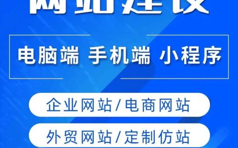 如何通过定制双品牌策略提升南京企业网站的市场竞争力？