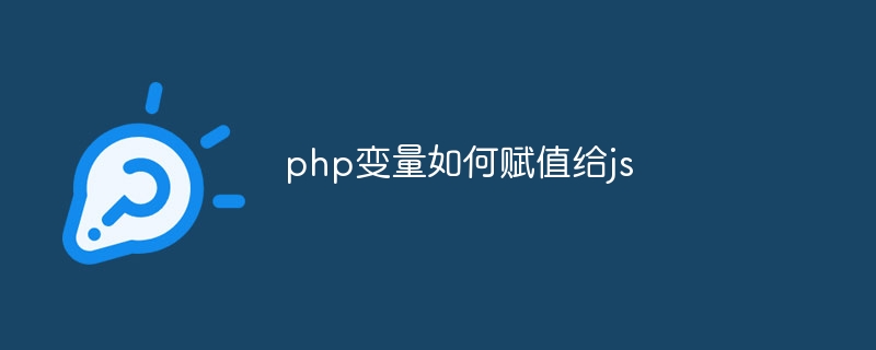 php变量如何赋值给js插图