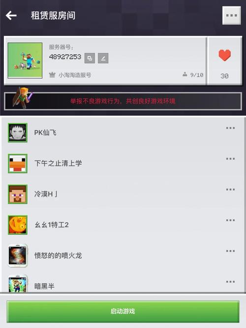 如何在Minecraft中查看服务器密码的含义？插图4