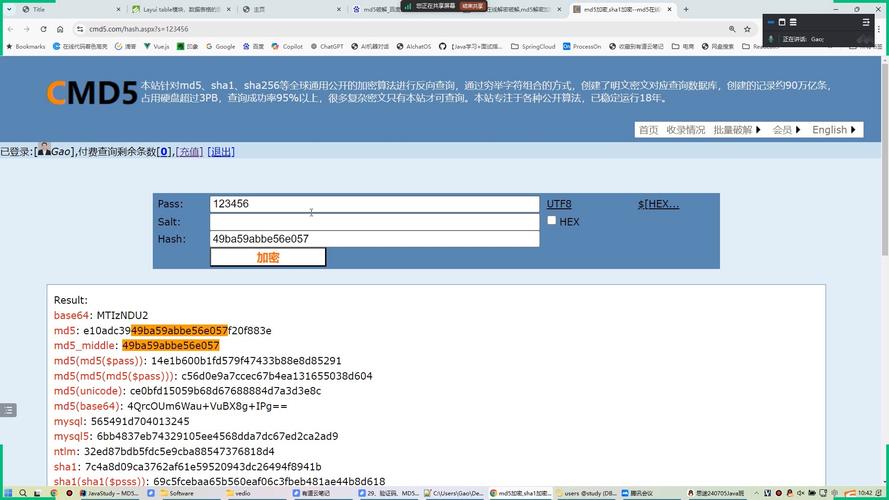 如何使用MD5函数进行加密？插图4