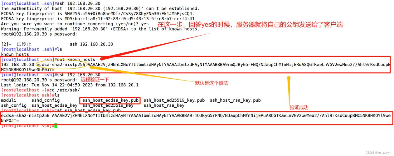 如何利用Putty和密钥实现OpenSSH的安全登录？插图4