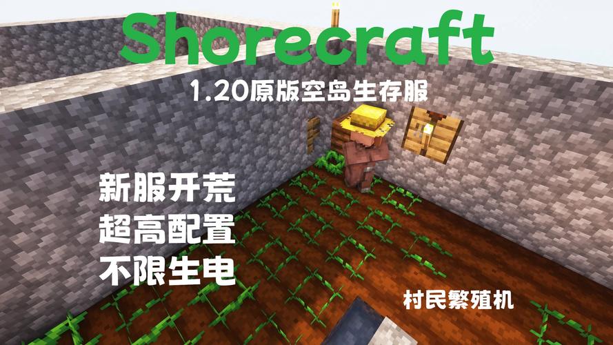 如何查找我的Minecraft服务器的名称？插图2