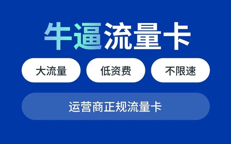 在追求无限畅享网络世界时，我们真的需要大流量卡吗？插图4