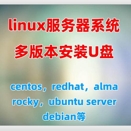 在Linux系统中，插入U盘后会如何显示其名称？插图2