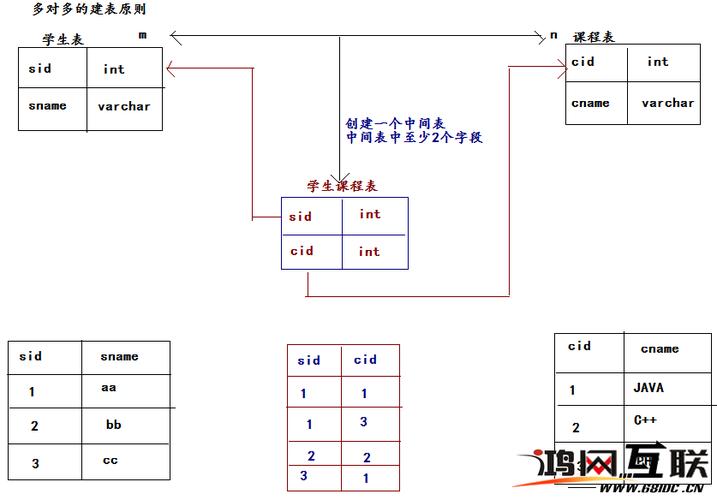 如何在MySQL中实现一对多与多对一的关联关系？插图2