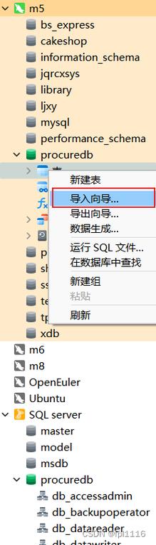 如何使用Navicat工具将MySQL脚本成功导入数据库？插图