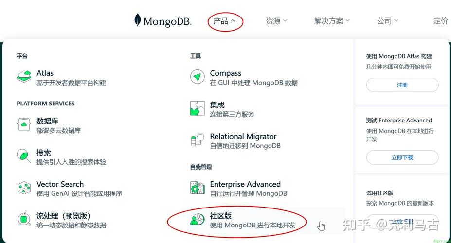 如何成功安装并配置MongoDB数据库？插图4