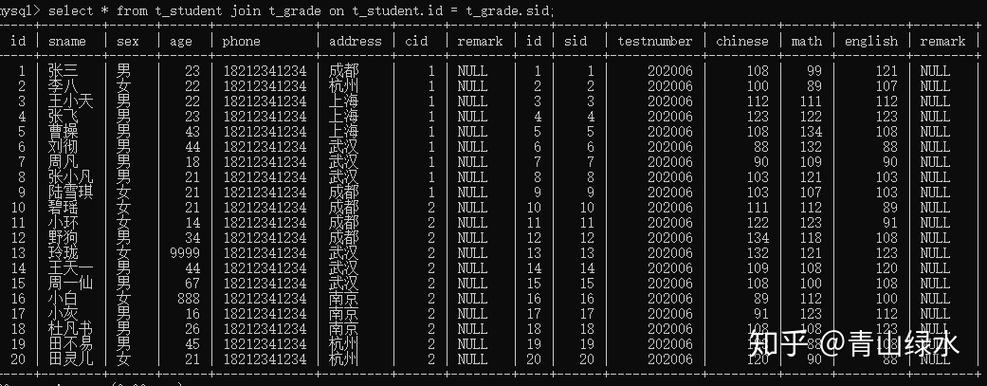 如何有效利用MySQL进行表格数据库管理与数据处理？插图2