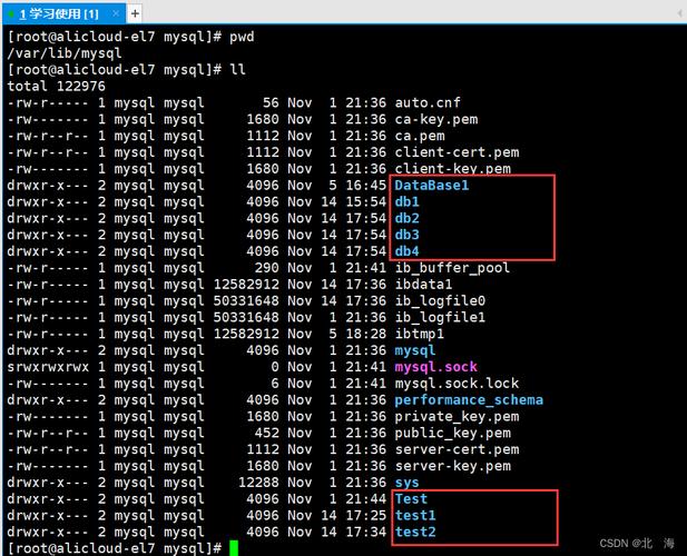 如何查看MySQL数据库的当前编码设置？插图4