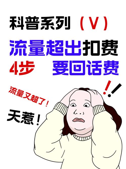 如何避免流量超量扣费并成功退款？插图