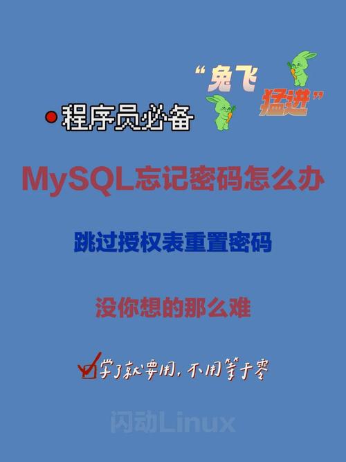 如何找到MySQL的初始登录密码？插图4