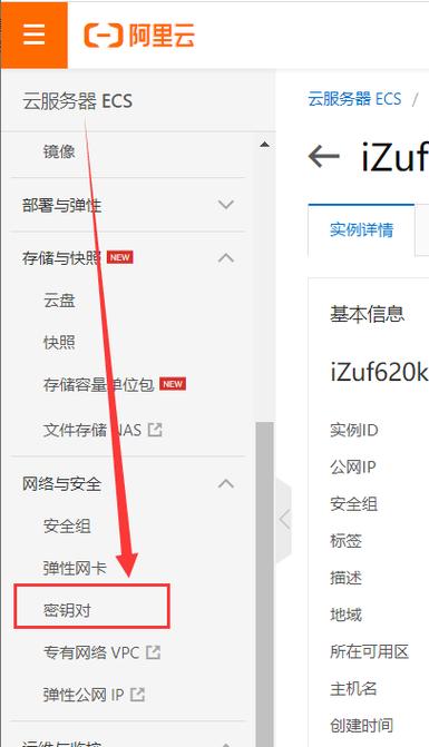 如何成功登录并管理阿里云ecs云服务器？插图2