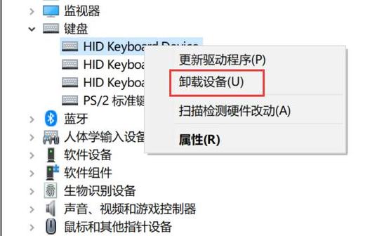 如何解决Windows 11更新后键盘持续失效的问题？插图2