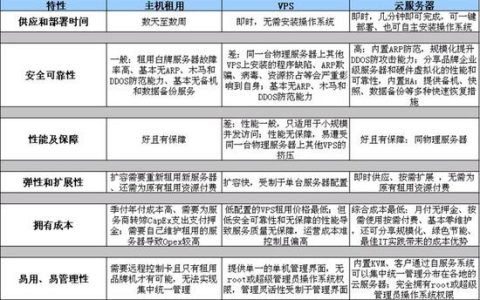 云服务器与VPS，关键差异解析，哪个更适合您的业务需求？