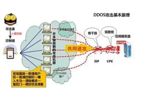 如何实现服务器的DDoS防护以保障网络安全？