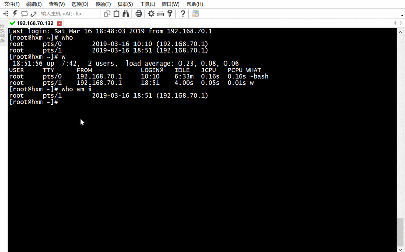 在Linux环境下，维护动态网站需要掌握哪些基本命令？插图4