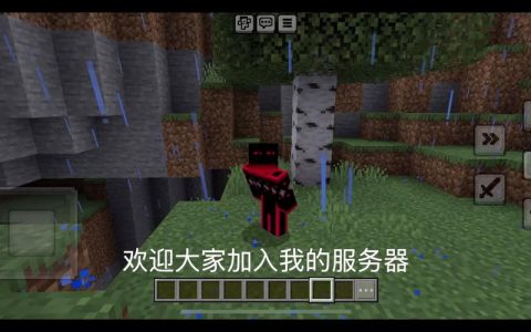 搭建Minecraft服务器需要哪些关键要素？