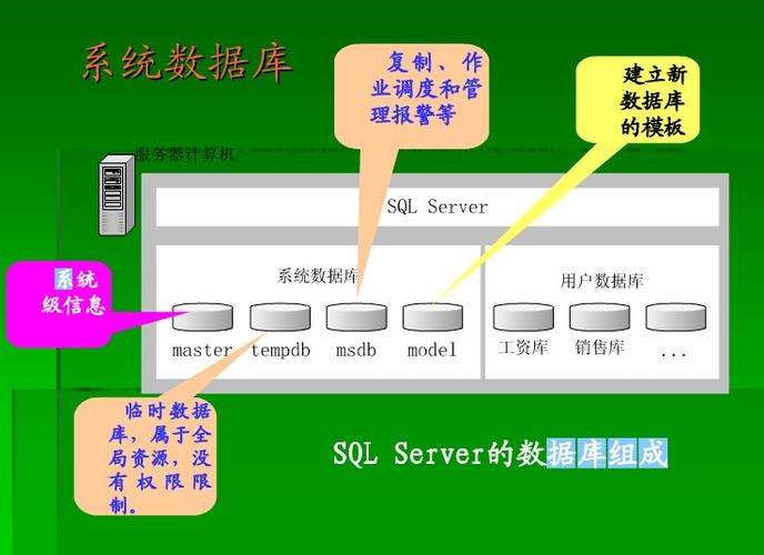 TargetScan数据库如何助力基因研究？插图2