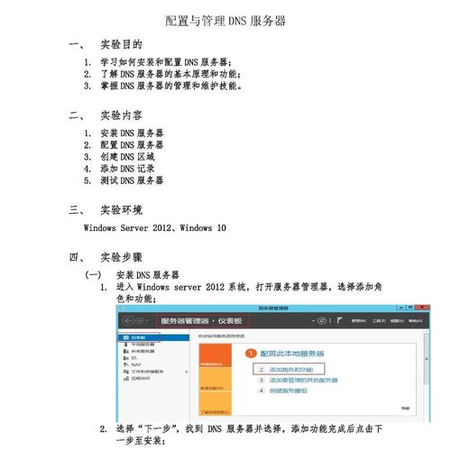 路由器重置后，我该如何正确设置首选DNS服务器？插图4