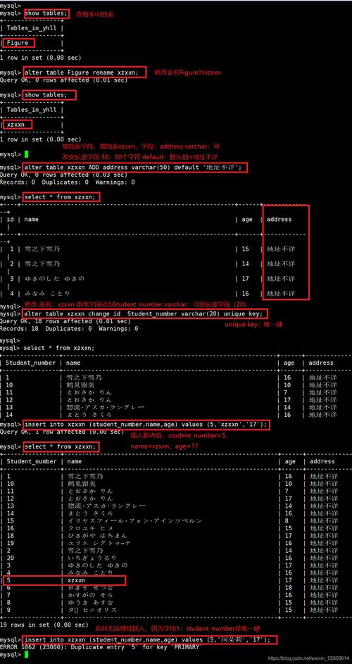 如何在MySQL数据库中高效管理图片数据？插图4