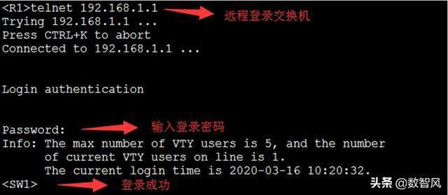 启动服务器需要掌握哪些基本命令？插图