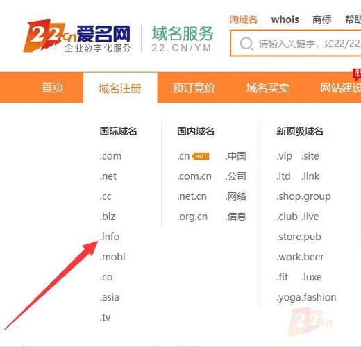 info域名的含义是什么？插图2