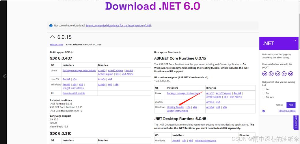 如何解决IIS7/iis7.5因权限不足导致的HTTP Error 500.19配置错误？插图