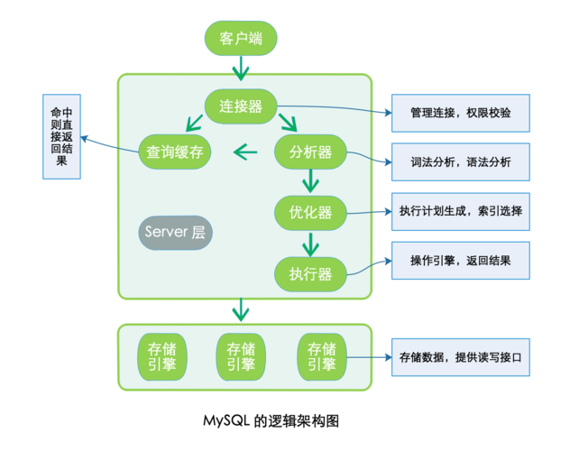 如何利用MySQL导出数据库并生成表结构图和逻辑结构图？插图4