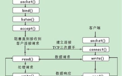 C语言在服务器开发中扮演什么角色？