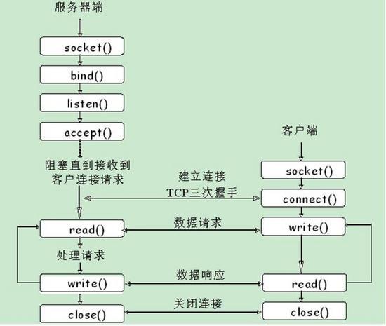 C语言在服务器开发中扮演什么角色？插图