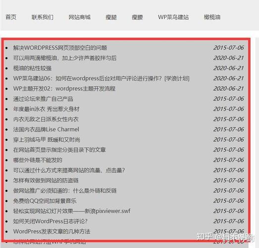 如何实现站外调用WordPress网页模板以显示最新文章？插图2