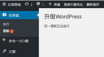 如何解决WordPress升级时出现的另一更新正在进行问题？插图2