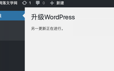 如何解决WordPress升级时出现的另一更新正在进行问题？插图4